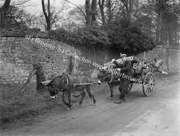 PAIR OF DONKEYS PULLING LOG CART